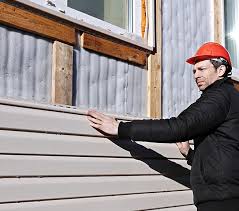 Professional Siding Services in Mapleton, MN